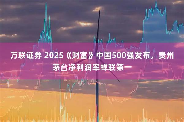 万联证券 2025《财富》中国500强发布,贵州茅台净利润率蝉联第一