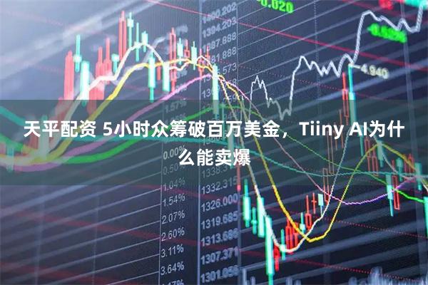 天平配资 5小时众筹破百万美金，Tiiny AI为什么能卖爆